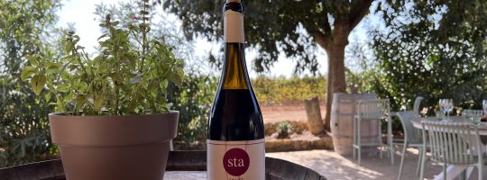 Bodega Santa Catarina Mallorca-is-life Weintouren Mallorca Weinprobe