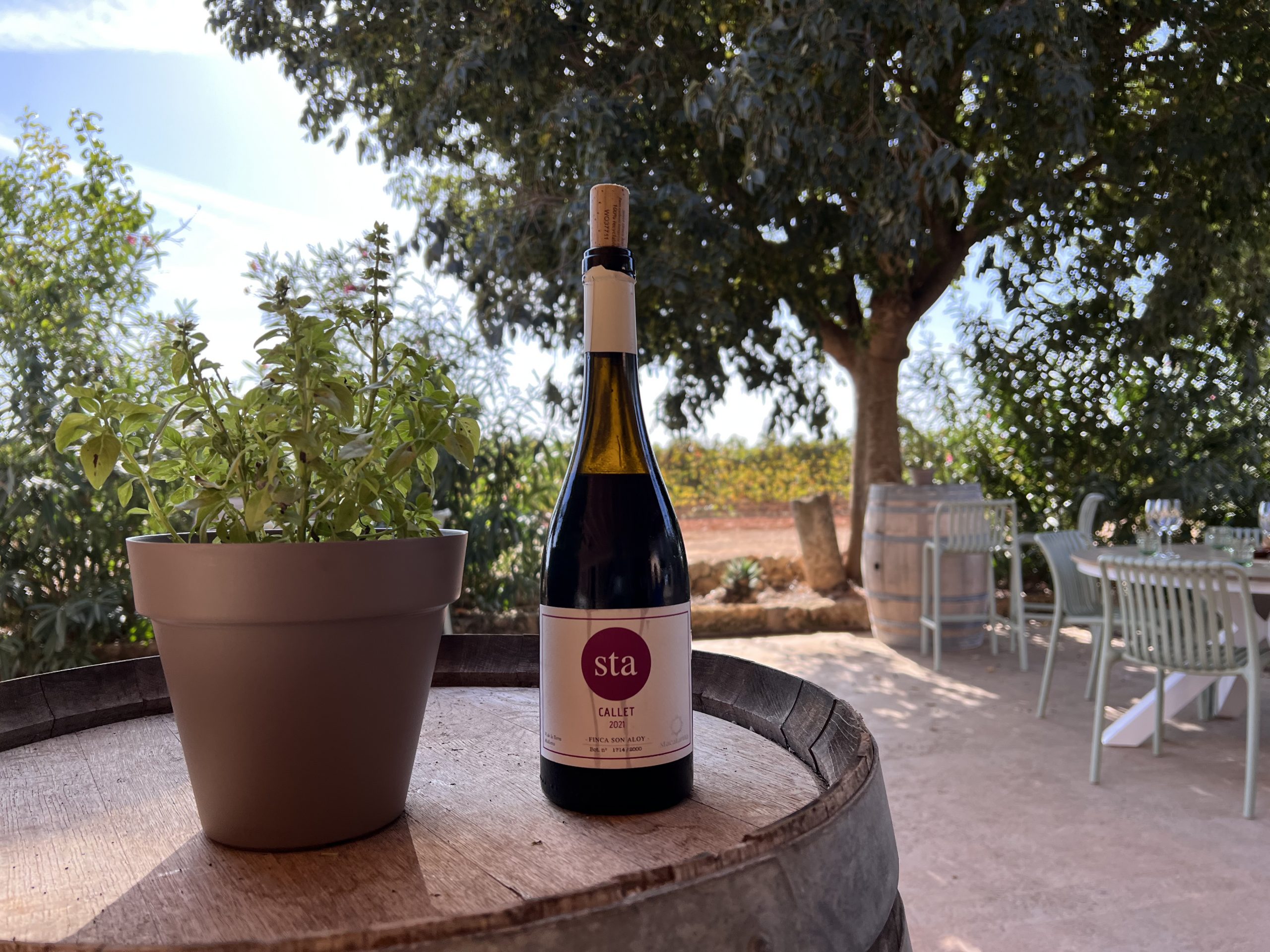 Bodega Santa Catarina Mallorca is Life