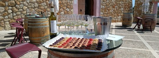 Weingut Macia Batle Mallorca-is-life Weintour Mallorca